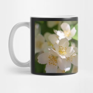 English dogwood flowers Mug